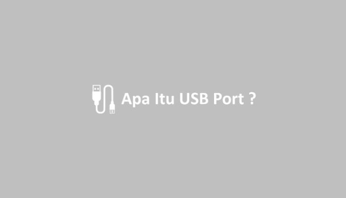 Apa Itu USB Port