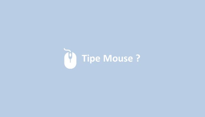Tipe Mouse