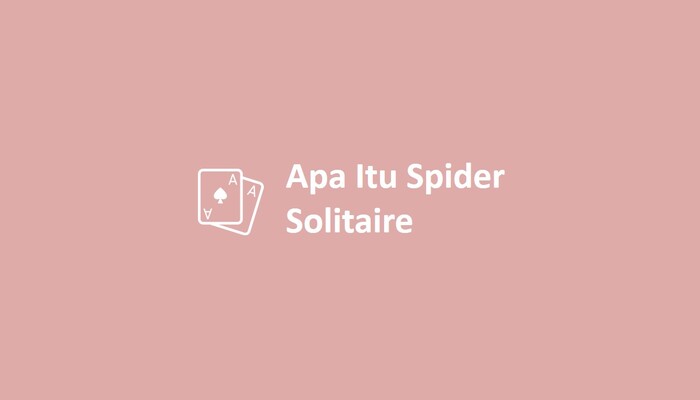 Apa Itu Spider Solitaire