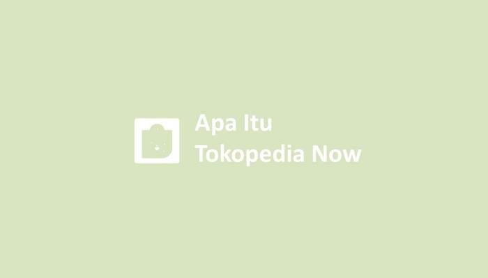 Apa Itu Tokopedia Now