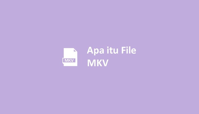 Apa itu File MKV